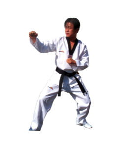 Taekwondo Professional V-Neck Uniform